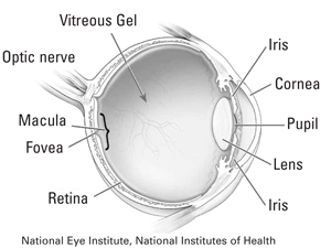 Macular Pucker - LA Retina Center